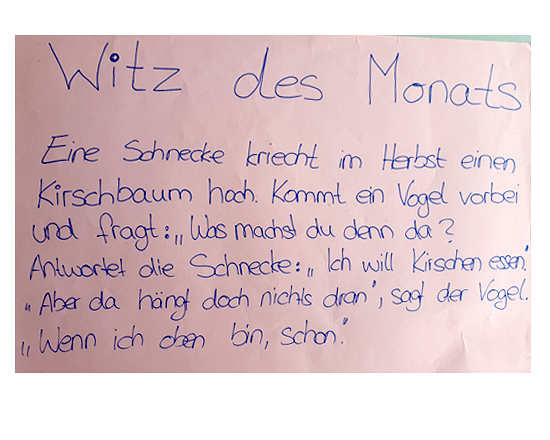 Witz des Monats