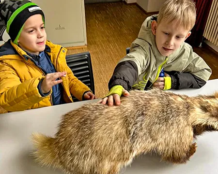 Zwei Kinder streicheln einen ausgestopften Dachs