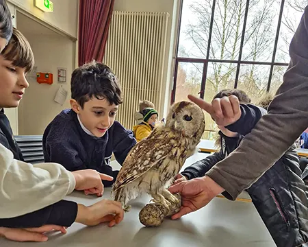 Kinder betrachten eine ausgestopfte Eule