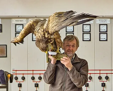 Der Förster präsentiert einen  Seeadler