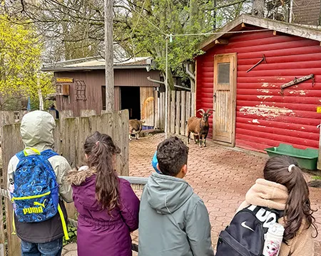Kinder vor dem Streichelzoo