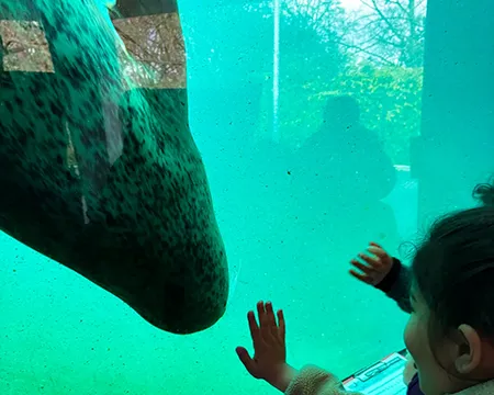 Kinder vor einem Aquarium
